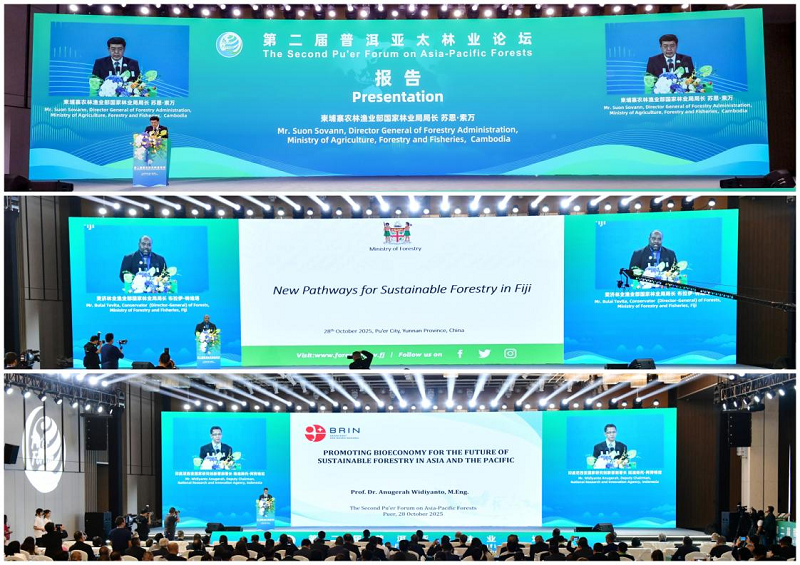 1761654966419161.png 图片6.png