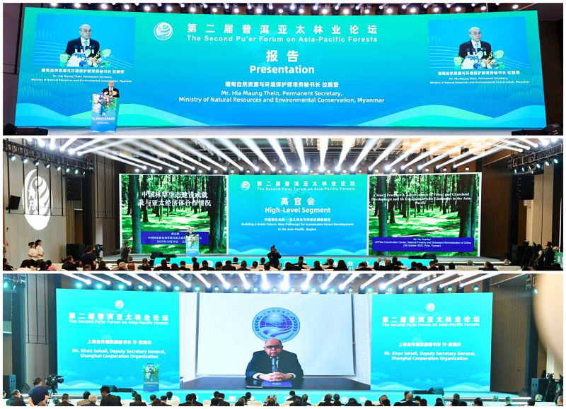 1761654978398180.png 图片7.png