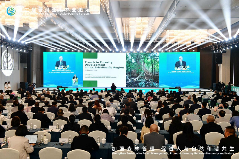 1761726484149406.png 图片10.png