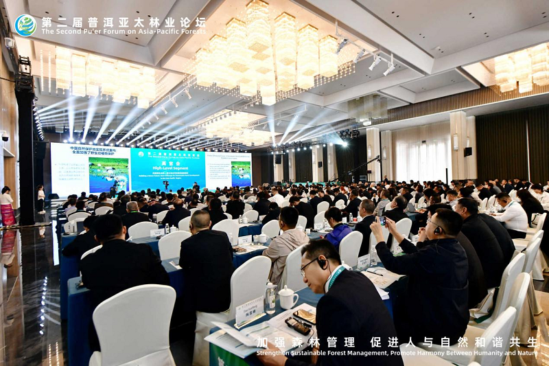 1761726499809406.png 图片11.png