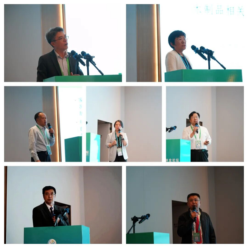 1761739514754813.png 图片13.png