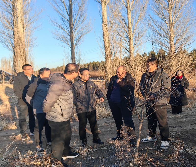 1765434248688101.png 图片1.png