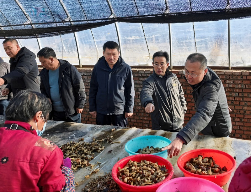 1765434303294002.png 图片3.png