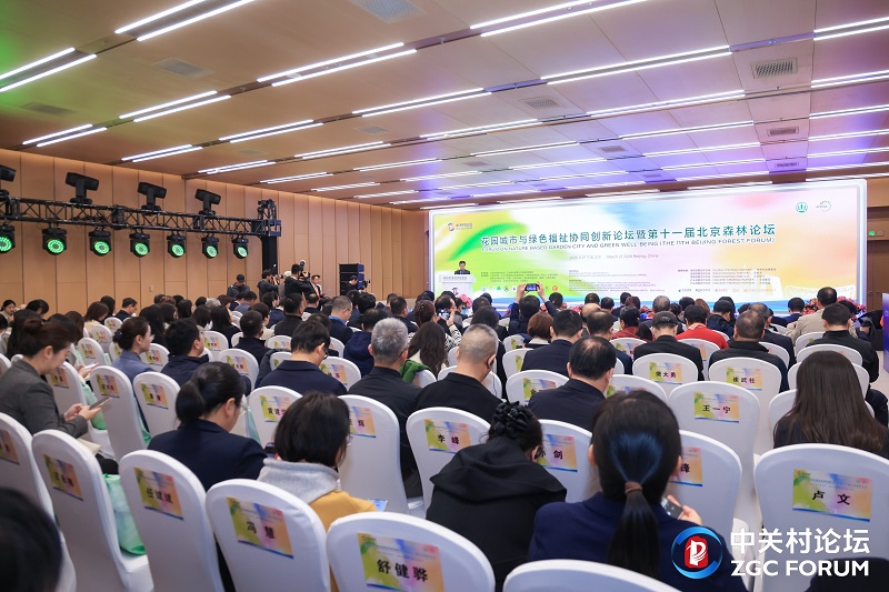 1774981329872119.jpg 2.jpg